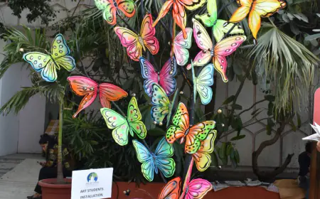ART INSTALLATIONS BY STUDENTS STAND OUT AT JLF 2024