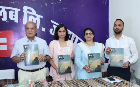 Study Uncovers Critical Rural-Urban Disparities in Rajasthan’s Electricity Access and Quality